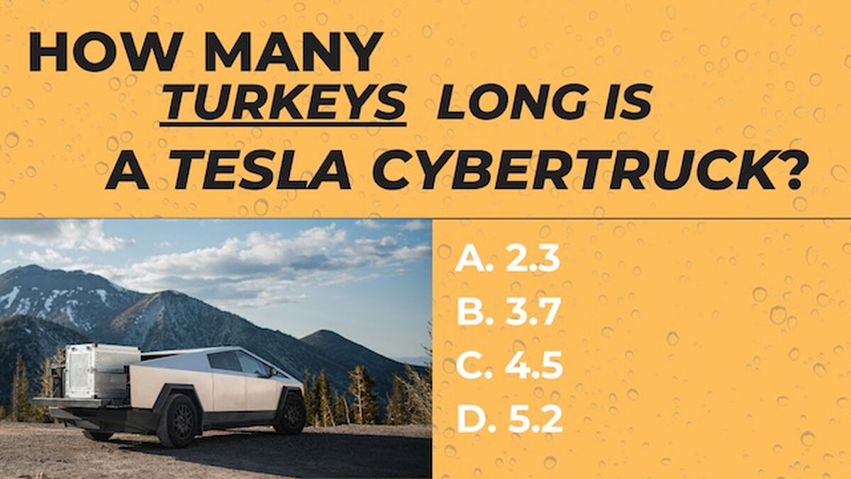 How Many Turkeys? image number null